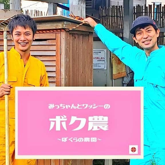 篠田光亮さんのインスタグラム写真 - (篠田光亮Instagram)「地元・海老名市で農園を借りてやっている活動【みっちゃんとワッシーの『ボク農』～ぼくらの農園～】  ボク農ファームにて今回は新たにジャガイモ２種類(男爵・インカのめざめ)を植え付けてきました！  畑を耕し種イモと肥料を土に。  青空の下での作業は最高に楽しいです。  ボク農ファーマー(オンラインコミュニティメンバー)になって是非一緒に農業と農園作りについて学びましょう♪  #ボク農 #海老名 #農園作り」2月27日 16時56分 - mitsuyoshi_shinoda_official