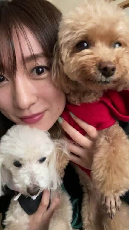 瀬口かなのインスタグラム：「少しの間だけ残します〜！」