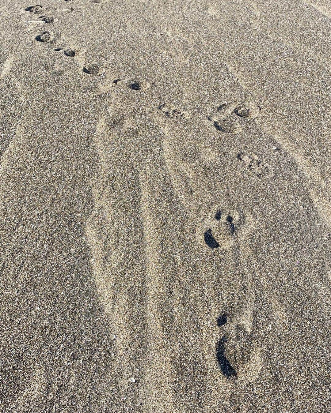 一条ありさのインスタグラム：「beach👣」