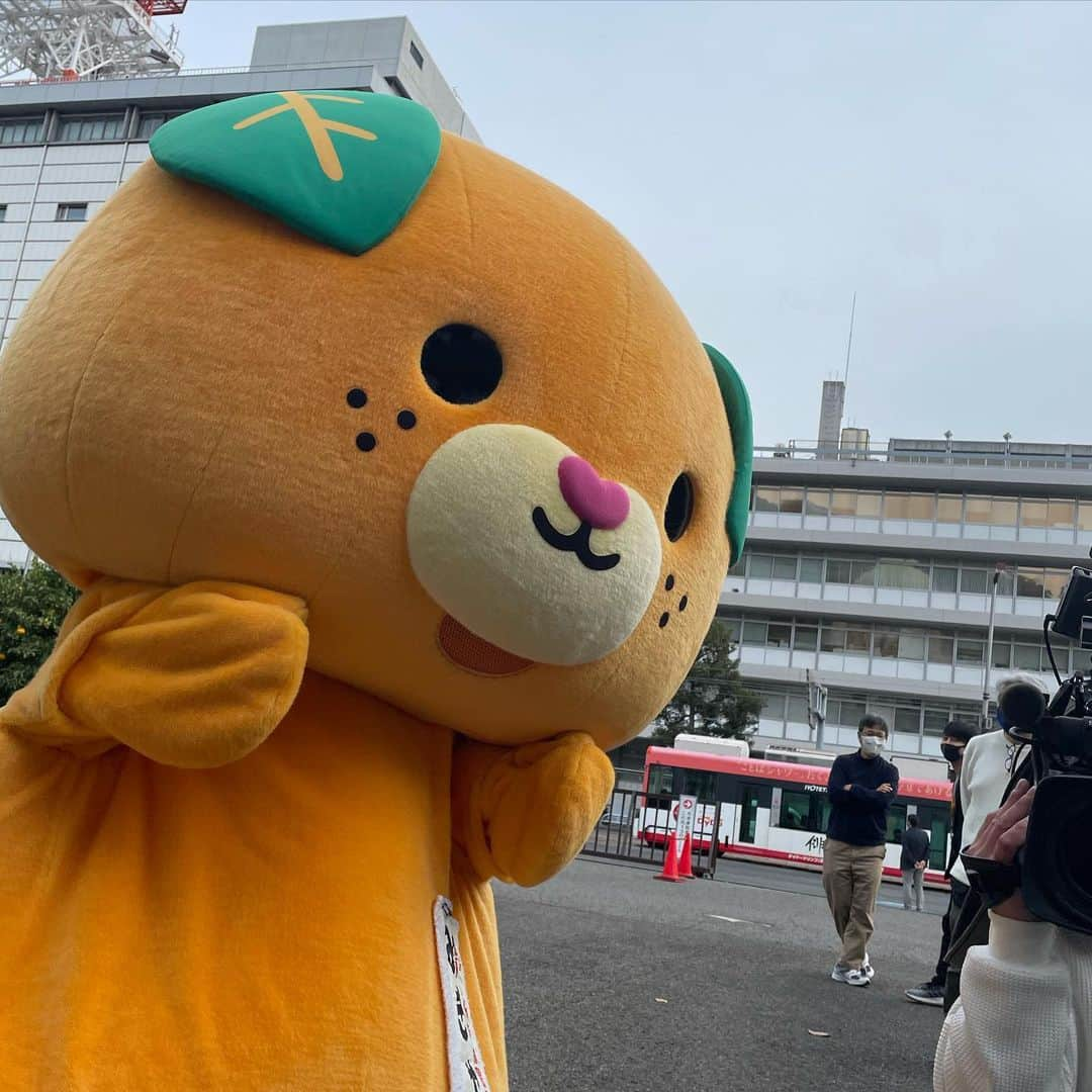 水谷千重子さんのインスタグラム写真 - (水谷千重子Instagram)「みきゃん可愛いわね😆😆 みきゃんに顔ハメパネルに挑戦してもらったわ🤣🤣🤣 両目いい感じにうつってんじゃん👏👏😆😆🍊🍊🍊🍊🍊 #みきゃん #愛媛県庁 #県庁内の柑橘」2月27日 17時09分 - mizutanichieko