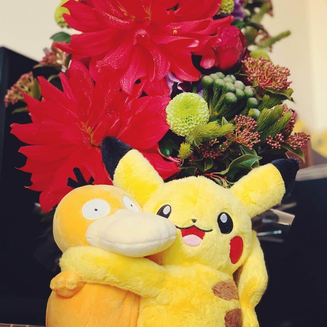 増田順一のインスタグラム：「本日2月27日は「ポケモン」がこの世に生まれた日。あれから25年。ファンの皆様に支えられて、多くの方々にサポートされて、ここまで成長することが出来ました。ポケモンへのたくさんの愛をありがとう。一緒に過ごしてくれてありがとう。育ててくれてありがとう。これからも皆様と共に歩んでいけたら幸いです。  #ポケモン25周年 #pokemon25 #pokemon25thanniversary #pokemon #pokemongo #ポケモン #ピカチュウ #コダック #ポケットモンスター赤 #ポケットモンスター緑 #pikachu #psyduck」
