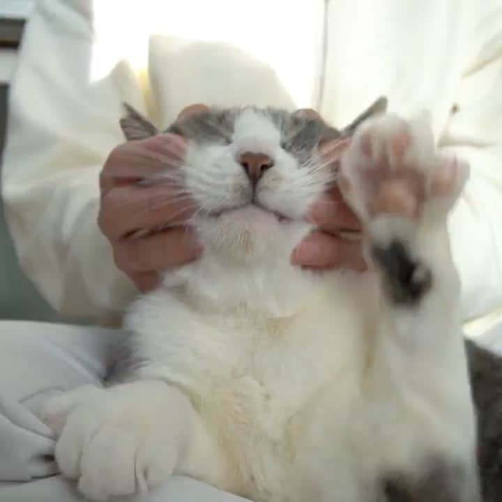 nozomiorideのインスタグラム
