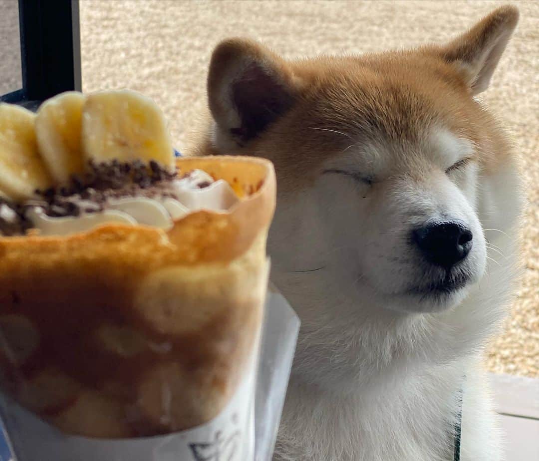 いなりのインスタグラム