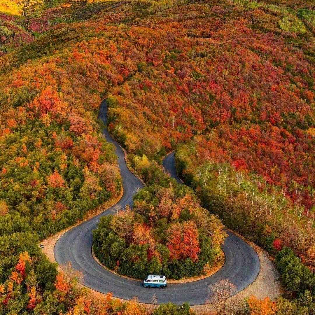 Padgramさんのインスタグラム写真 - (PadgramInstagram)「Autumnal roadsides memories 🤤 Are there any scenery that stuck in your mind, that you’d love to drive again and again? 😍 Photos by @nathanleeallen  #pgdaily #pgstar #pgcounty #planetgo #planet #planetearth #amazing #awesome #nature」2月27日 17時35分 - planet.go