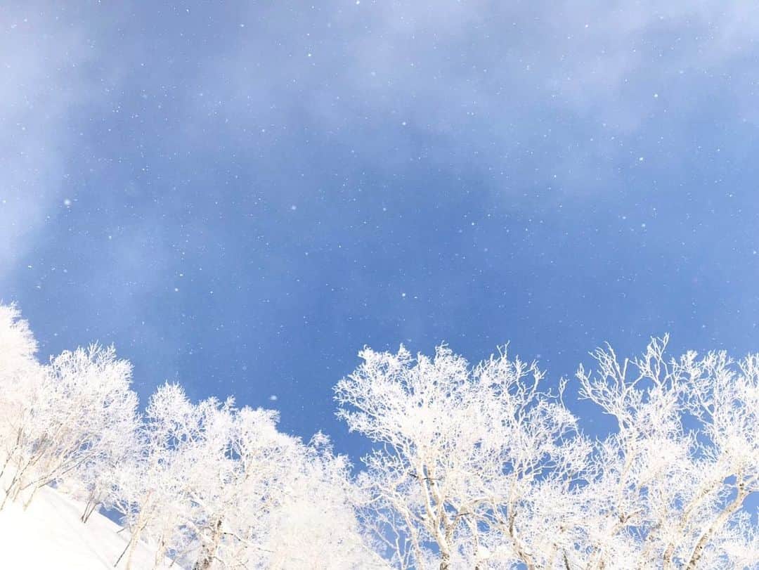 星野リゾート　トマムさんのインスタグラム写真 - (星野リゾート　トマムInstagram)「Today’s Hoshino Resorts TOMAMU  明日の、今シーズンの霧氷テラスの営業最終日を前に、本日早朝、ダイヤモンドダストと霧氷が発生。美しい雪景色が広がりました❄️  最近の星野リゾート　トマムは暖かくなることもありましたが、本日朝の気温は−14℃。まだまだ冬が続きます❄️スキー場の営業は4月上旬まで。残り1ヶ月と少し、絶景シャンパンバーや海鮮・牛肉フェアなど、冬を最後まで楽しみ尽くせるような体験が目白押しです🏂⛷✨  #HoshinoResorts #星野リゾート #tomamu #hoshinoresortstomamu #星野リゾートトマム #トマム #risonaretomamu #リゾナーレトマム #risonare #リゾナーレ #北海道旅行 #星野集團 #Hokkaidotrip #霧氷テラス　#terraceoffrosttree」2月27日 17時42分 - hoshinoresorts_tomamu