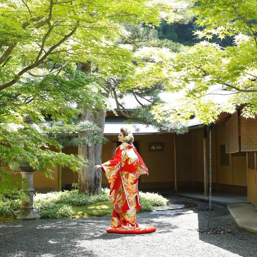 The KAMAKURA WEDDINGのインスタグラム：「【川島織物】 婚礼衣装の製作は今はおこなっていない為貴重な一枚。日本に伝わる五彩「赤、白、黄、緑、紫」を艶やかにまるで一幅の絵画ような意匠となっていて優しい佇まい。 新緑に映える鮮やかな色合いは場が華やぎ印象的。掛下はアンティークな着物に。」