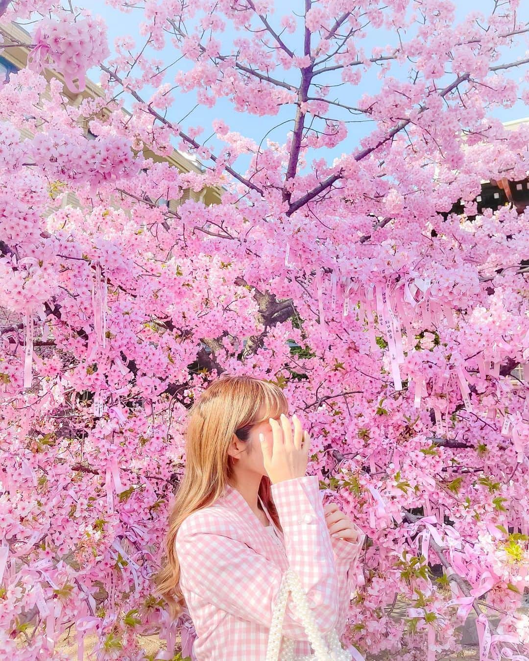 tomomi ❤︎ よしはしともみ ❤︎さんのインスタグラム写真 - (tomomi ❤︎ よしはしともみ ❤︎Instagram)「. . 一面ピンクの河津桜🌸 . 桜新町の桜神宮にいってきたよ〜⛩ しお ( @shiodoll )が教えてくれたところ🥺💓 . . 縁結びにめちゃめちゃ縁がありそうな一面ピンクの世界だった💕 晴れてる日に行ったらしっかり青空も入れ込むとさらに可愛い写真に🤳♡ . . 桜に合わせてピンクジャケットコーデ🧥 ジャケット　@honeymihoney_official トップス　@zara  ボトム　@snidel_official . . . #sakura #sakurashinmachi #cherryblossom #honeymihoney #snidel #zara #桜新町 #桜神宮 #神社 #神社巡り #神社参拝 #縁結び #縁結び神社 #縁結びお守り #ピンクスポット #ピンクコーデ #フォトジェニック #フォトジェニックスポット #スポット巡り #桜 #河津桜 #フォトスポット #ジャケットコーデ #お出かけスポット #お出かけコーデ #お出かけ #ピクニック #ピクニックコーデ #デニムコーデ」2月27日 18時09分 - tomomi_yoshihashi