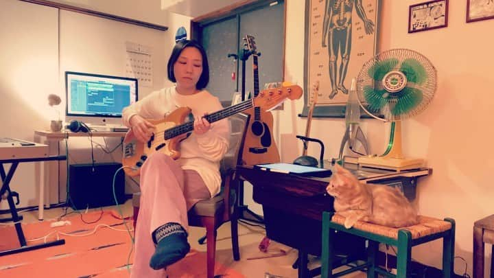 岡田梨沙のインスタグラム：「先日アップした3人パーカッション、カバーする曲名は 「Be My Baby / The Ronettes」 でした🙆‍♀️  ツイキャスしながらのベース録音が終わったあと、ちょうどそこにコニーがいたので、コニー推しの映像を🐈  あしたは鍵盤入れよう🎹  #homerecording  #bass #allonmyown  #bemybaby #catstagram」