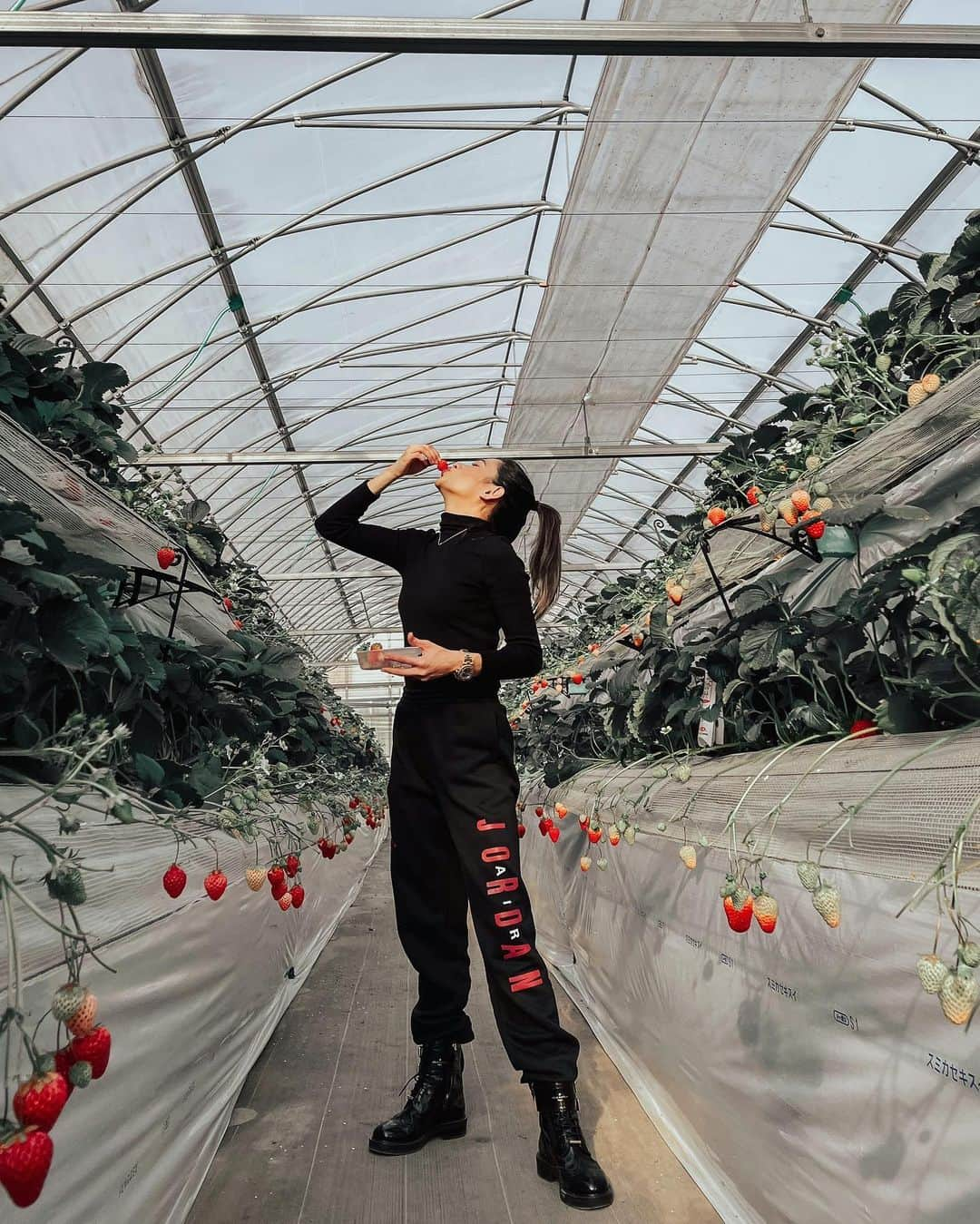 yeNahさんのインスタグラム写真 - (yeNahInstagram)「いちご狩り🍓写真スライドしてね👉🏻 @jumpman23  のスエットは妊娠してる時に買って3年越しにやっとオソロで履けました🤤 念願❤️👩‍👦  3枚目📸 ただ真似して止まってると思いきやライブ再生したらむしゃむしゃしてる会長大バレ🍓👦🏻  📸edited with 🧚🏼‍♀️ @haneypresets」2月27日 18時26分 - haney8859