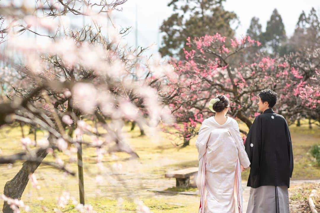 富山結婚式 ヴィラグランディス富山のインスタグラム：「， ， もうすぐ春ですね🌸 前撮りの希望時期として1番人気なのも春の桜の時期ですが、皆様はどのような前撮りをご希望ですか？☺️💐 ， ， #桜スポット #お花見スポット #桜 #和装前撮り ， ， ， ， ， ， ， *･゜ﾟ･*:.｡..｡.:*･'･*:.｡. .｡.:*･゜ﾟ･* *･゜ﾟ･*:.｡..｡.:*･'･*:.｡. .｡.:*･゜ﾟ･* ご結婚式をお考えの方はぜひブライダルフェアへのご参加もお待ちしております♬ *･゜ﾟ･*:.｡..｡.:*･'･*:.｡. .｡.:*･゜ﾟ･* *･゜ﾟ･*:.｡..｡.:*･'･*:.｡. .｡.:*･゜ﾟ･* ， ， ， ， ， ， ， ， ， ， ， ， ， ， ， ， #ヴィラグランディス富山 他の写真も気になる方はプロフィールから 公式HPもご覧ください▶︎▶︎▶︎」