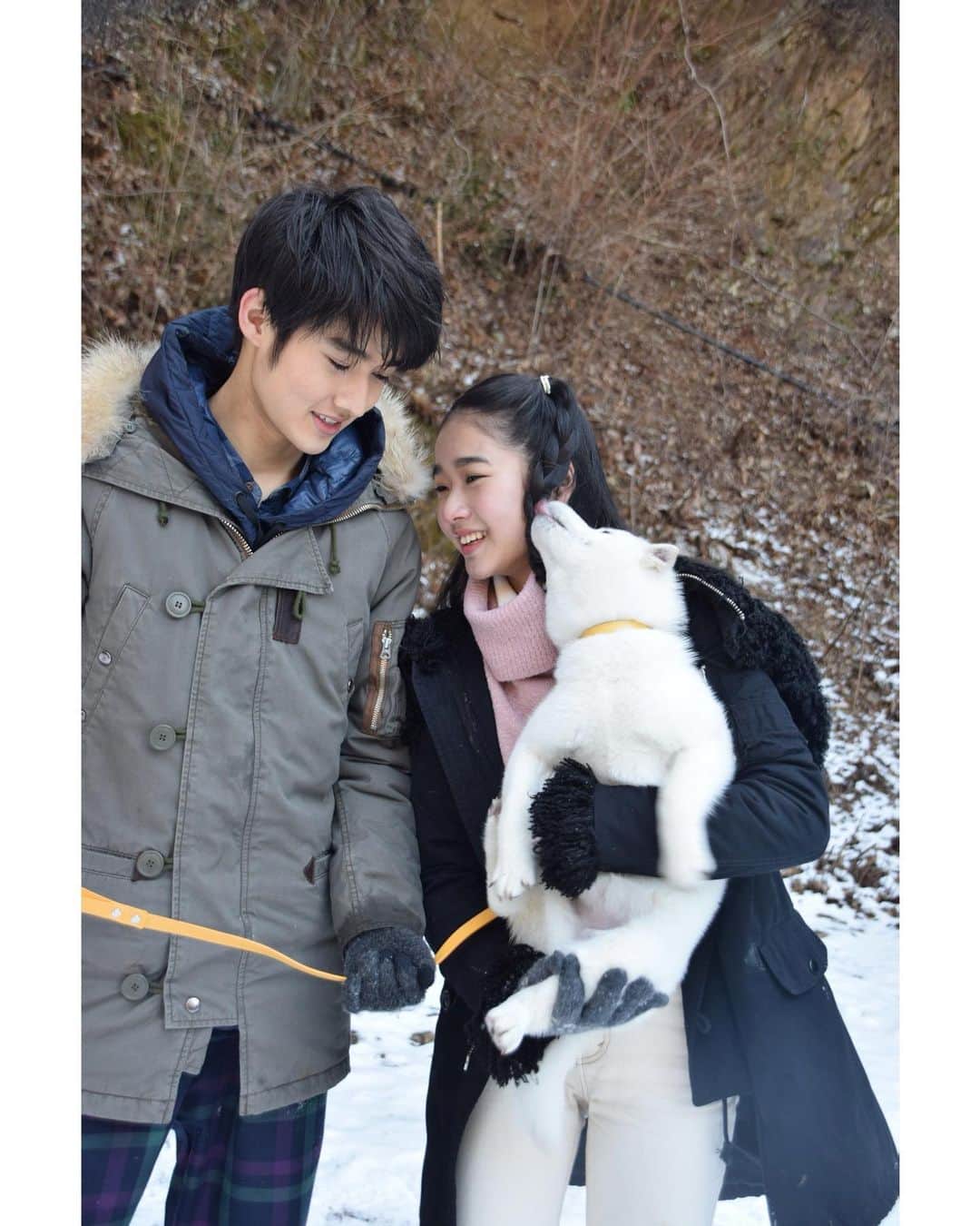 藤岡弘、さんのインスタグラム写真 - (藤岡弘、Instagram)「⭐︎⭐︎  もうすぐ✨今夜7時から放送の﻿ 「ILOVEみんなのどうぶつ園」(日本テレビ)﻿ では、藤岡ファミリーの「日本犬を育てる」のコーナーが放送‼️﻿ ﻿ 初めての雪❄️日本犬たちの反応は❓🐕﻿ 藤岡さんも、雪の中でのかわいい子犬たちの様子におおはしゃぎ⁉️﻿ ﻿ 今回も見逃せない﻿ 「ILOVEみんなのどうぶつ園」﻿ ぜひご覧くださいね♪﻿ ﻿ ﻿ @minnano_zoo_ntv  ﻿ #藤岡弘、#天翔天音 #藤岡真威人 ﻿ #天翔愛 #藤岡舞衣 #hiroshifujioka #amanetensho #maitofujioka #aitensho #maifujioka﻿ #iloveみんなのどうぶつ園 #北海道犬 #秋田犬 #紀州犬 #四国犬 #甲斐犬 #柴犬 #hokkaido #akita #kishu #shikoku #kai #shibainu #dog #日本犬 #japanesedog #love #family」2月27日 18時41分 - hiroshi_fujioka_official