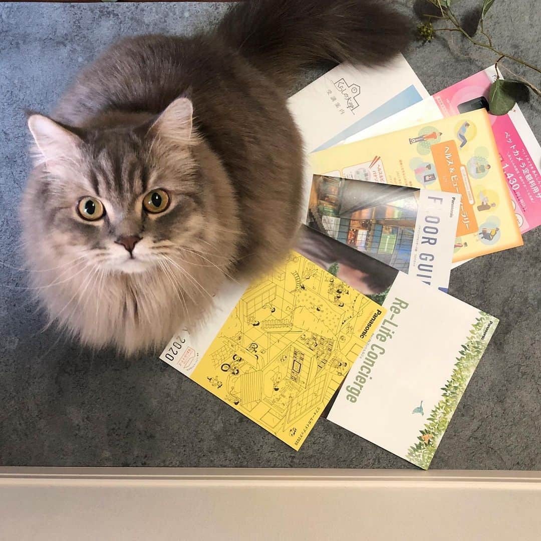 金太のグルメインスタ