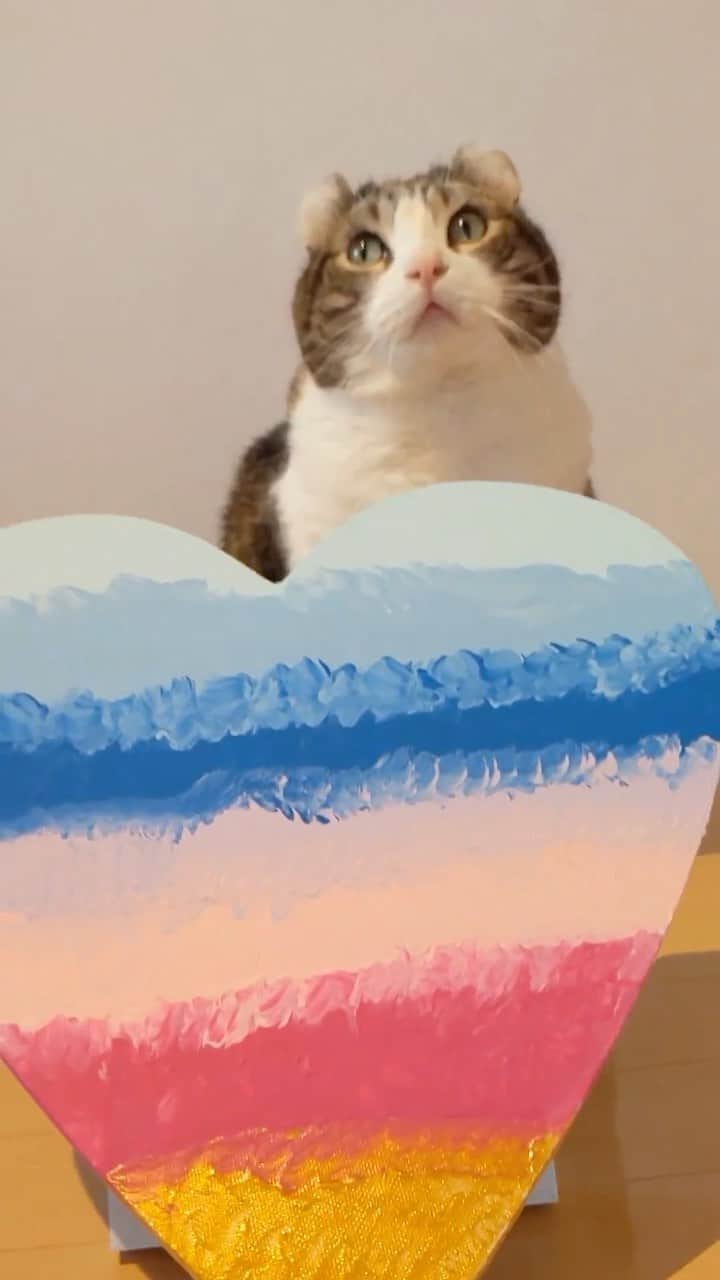 スノーのインスタグラム：「Ask your Vincent Van Meow for a #masterpiece #painting  • #ミャッホ #meowed #catsofinstagram #cats_of_instagram #catstagram #catofinstagram #instagood #cat #cats #kucing #gato #chat #catloversclub #catlover #9gag #weeklyfluff #kedi #katze #kawaii #neko #instagramjapan #고양이 #кот #แมว #猫 #ふわもこ部 #ペコねこ部」