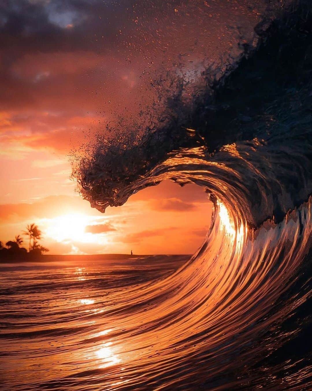Canon Photographyのインスタグラム：「Dreaming of Hawaii 🌺 💭 Photography // @dgphotography264 Curated by @steffeneisenacher  #hawaii #ocean #oceanphotography #waves #wavephotography」