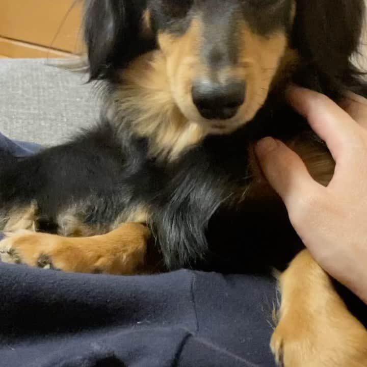 まさのインスタグラム