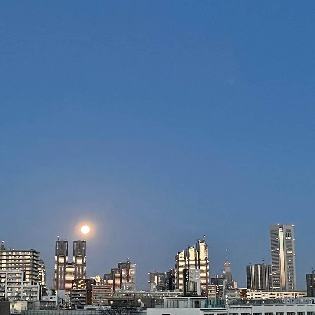 岡峰光舟さんのインスタグラム写真 - (岡峰光舟Instagram)「満月かっこいい🌕」2月27日 19時53分 - kohshuokamine