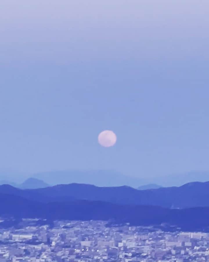 瀬川アニータのインスタグラム：「月を求めて🌕」