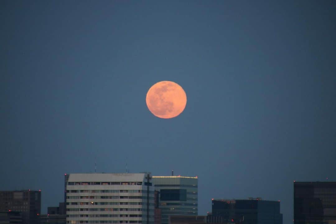 坂元美香さんのインスタグラム写真 - (坂元美香Instagram)「こんばんは。  sunset & snow moon 2021/02/27 17:43  今日は家具を組み立ててたら 夕陽が沈んじゃってて3枚目な感じでした。  でも同じ時間、東の空から大きなオレンジ色の お月様が登ってきててびっくり。  月にはあまり興味がないので 月を撮ることは滅多にないのだけど 撮ってみました🌝  なんか、やけにまんまるだと思ったら 今日は満月なのね！ スノームーンと言うらしいです。 なんて良いタイミング！  #お月様 #満月 #スノームーン #snowmoon #fullmoon #夕日 #夕陽 #富士山 #国立競技場  #スカイツリー #東京スカイツリー」2月27日 20時19分 - mika_saka