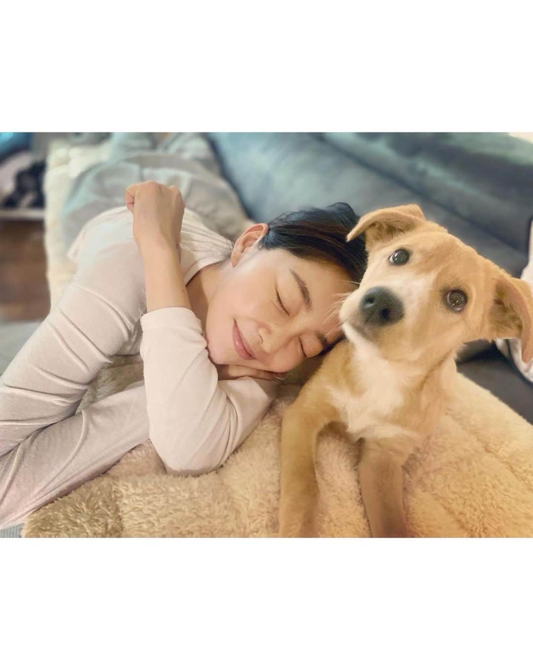 のインスタグラム：「순금아 잘가고있니?  우리 착한 순금이  내생일날 선물같이 와줘서 두달동안 너무 큰 행복과 웃음을 주어서 고마웠어 🙂 그래도 피넛오빠랑 같이가서 다행이야 한숨 푹자고 일어나면 꽃길시작이야!! 우리함께 했던 시간들이 너에게 행복한 기억으로 남길 바랄게 ❤️  먼 곳에서 너의 꽃길을 항상 응원하고 지켜볼게 !  고마웠어 ❤️잘가  -순금이 임시보호 종료-」