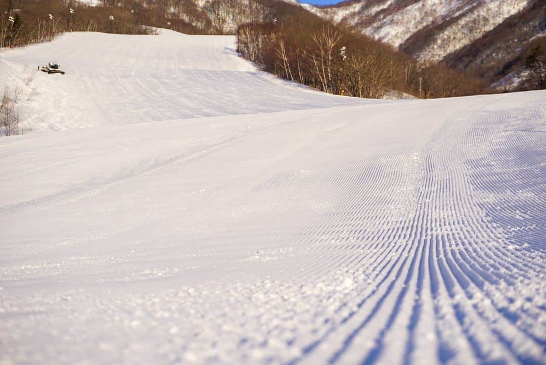 栂池高原スキー場さんのインスタグラム写真 - (栂池高原スキー場Instagram)「ドピーカン間違いなし☀️☀️☀️ 滑らなきゃ損ですよ〜😆 #roxy 圧雪車で最高のバーン仕上げてます♪  #栂池高原スキー場 #tsugaike  #ピーカン #ドピーカン  #roxyjapan  @roxy @roxyjapan」2月28日 7時16分 - tsugaike_kogen