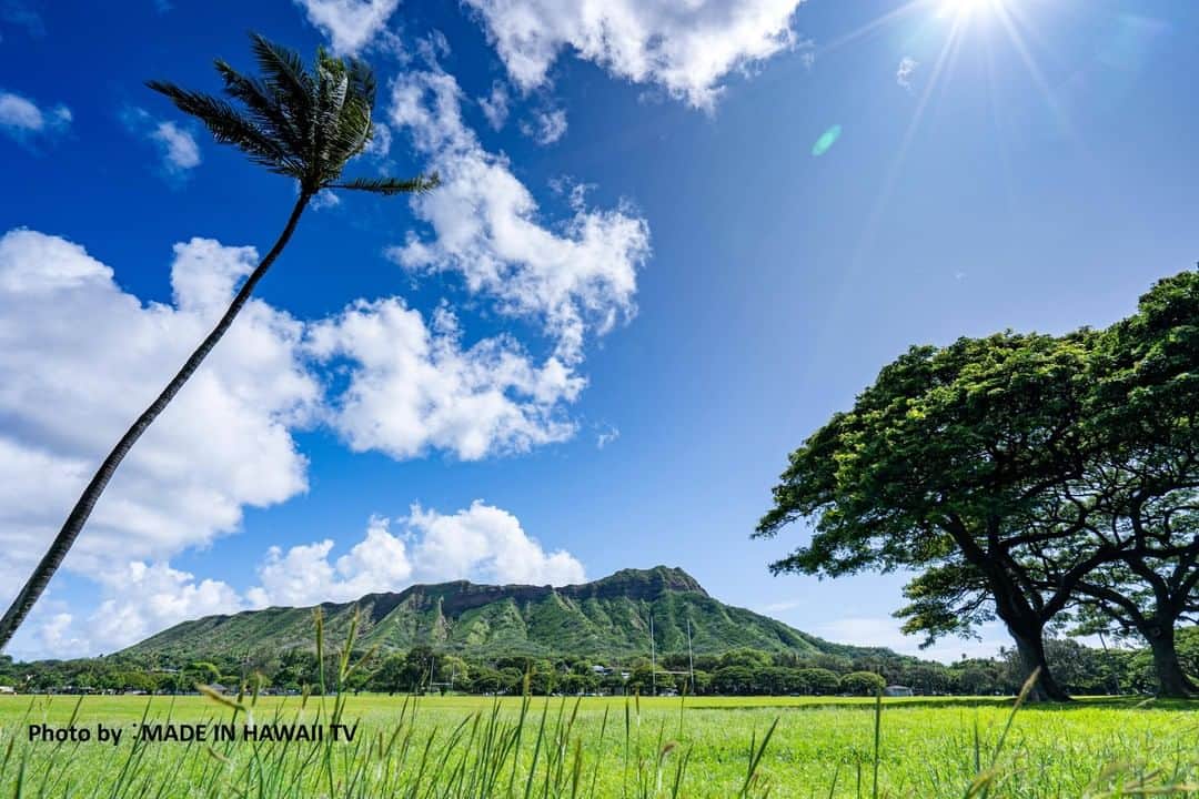 Reiko Lewisさんのインスタグラム写真 - (Reiko LewisInstagram)「Hawaii Hochi Column published ハワイ報知でのコラム掲載されました。 雲一つない空 ２月のハワイは少し肌寒いくらいの日々があるが一方で空を見上げると雲一つないお天気の青空。真っ青な空を見ながら思い出すのが今から３０年も昔の話。その頃私は、仕事からのストレスそして何にもまして、仕事をしながら１０年も続けている不妊治療で肉体的にも精神的にも苦しい日々を送っていた。寒空のもと、母と二人で庭掃除をしていた時だった。折角掃き清めた庭を振り返ると、そこにはもうすでに落ち葉がひらひらと舞い落ちている。庭掃除にうんざりした私は、「はいても後から後から落ち葉が落ちてきて意味がない」というようなことをいったと思う。庭で同じように箒をもってはいていた母が「掃き清めたところに落ち葉が落ちるから、そこに風情が生まれるのよね。」といった「空も一緒、雲一つもない空は素敵だけど、面白さがない。それは人生も全く同じ」母が意識していたかどうかはわからないが、収入の安定した仕事を持ち、理解のある夫もあるのに、それ以上に多くのことを望み、長いこと経済的にも大変な不妊治療を続けていることに警鐘を鳴らしたのではと思ったのである。欲望をもつことそのものは決して悪いことではない。欲望が満たされることでより次元の高いレベルの「社会的にみとめられたい」「知識を満足させたい」「ほかの人に喜んでもらいたい」などを求めるようになるからだ。その欲がどういう質の欲なのか、自分本位の欲なのか、周りを不幸にする欲なのか、その質とその欲をかなえていく過程を考える必要があるのだと私は今になって思う。努力を懸命に続けることですべて成功していく人もいる。努力が叶わなくても最大限に努力した結果であれば、悔いのない人生が送れる。雲のある空は、あの頃の懸命に取り組んでもダメだった日々があるからこそ、いまの青空に浮かぶ雲のある空があり、それをよかったなと思える日々があるのだと思える。ハワイの空は雨が降っても美しい。雨が降っても虹がでたり、雲一つない空も、雲のある空もいつも美しいのかもしれない。 ルイス玲子・ヴェンタスデザイン代表　（８０８－３５８－９１３５） CNNテレビ東京支局でシニアプロデューサー職を１６年務め渡米後インテリアデザイナーに転身。本業のインテリアデザインの仕事の傍ら茶の湯の指導にあたっている。 #hawaiihouchi #hawaiinewspaper  #newspapercolumnist」2月28日 5時57分 - ventus_design_hawaii