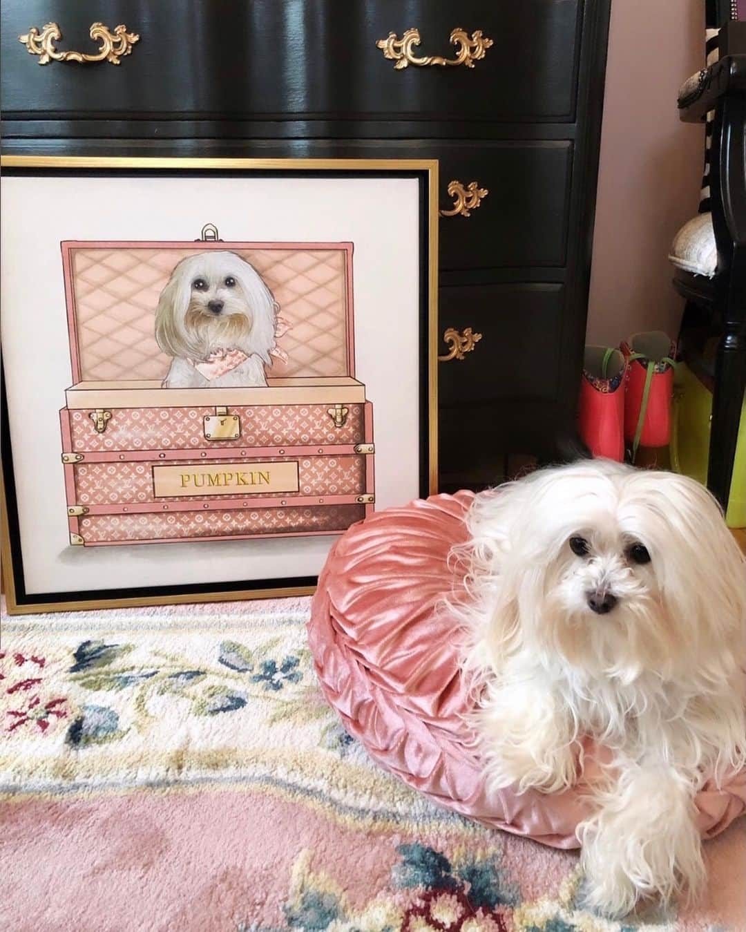 The Oliver Gal Artist Co.さんのインスタグラム写真 - (The Oliver Gal Artist Co.Instagram)「Paw-sitively adorable ❣️ can't get enough of this cutie's personalized pet portrait #olivergal⁠ ⁠ 📷@dreampinkdreams」2月28日 6時30分 - olivergalart