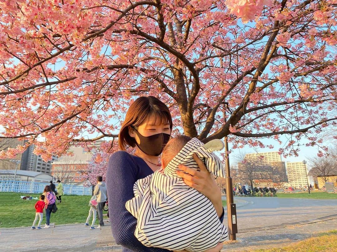 西谷綾子のインスタグラム：「🌸 写真はポカポカ陽気☀️の日に📸🌸  👶2/12で #生後2ヶ月 なりました✨☺️  生後1ヶ月の #成長記録✍️🗒  ・寝かしつけ  生後1ヶ月経ち、入浴後から眠るまで ずっとグズグズ‥ギャン泣き‼️😂 19時〜寝かしつけを始め23時前に眠る時もあった😱 (寝たかな〜と思いベットに置くと数分後にギャン泣き😂) いろんな作戦を立てる日々でしたが🙌 日に日に短くなり‥ 生後53日目、20時半に寝た時には驚いた✨😳 いつまで続くんだろう〜😂と思っていましたが その日はいきなり来てビックリ‼️ (朝起きたらすぐに太陽の光を浴びる🌅大事ですね👍)  ・夜の授乳 2〜3時間起きからまとまって眠るようになったのは 生後52日の夜🌃 最初は4〜6時間。徐々に長くなり‥  生後2ヶ月に入った今、安定して 20時〜20時半までには本睡眠💤😪 4時〜4時45分くらいに起きて授乳🤱 (今は8時間前後ガッツリ睡眠😊) 6時半〜7時に起床☀️  ・ベビーカー、抱っこ紐、チャイルドシートでは   いつもグッスリ😴  ・いいゲップが出ると私もスカッと爽快！笑  ・音に敏感になりドアを閉める音物を落とす音に反応し起きる  ・カシャカシャする音(ビニール袋)が好みで泣き止んだりご機嫌  ・クシャミの後に"あうぅ〜"と息が漏れる声が可愛い♡  ・思い切り体をねじりながら顔をくしゃくしゃにして 　　　　　うーんっとのび〜をする姿がたまらん♡  ・泣きながらオナラ、寝ながらオナラ、 (我が家ではオナラをしたらどっち？誰？と言い合ってる。笑)  ・夕方泣き始めても(黄昏泣き)脱衣所にいくと泣き止む時がある  ・入浴後の保湿クリーム泣く率高め ・朝顔を拭くと泣きそうになる ・足の力が強くなった ・手足をバタバタ ・泣き声が力強くなった   スクスク元気に成長☺️ いつもありがとうー💞✨  #生後1ヶ月の成長記録でした #最後まで読んで頂きありがとうございます ☺︎♪」