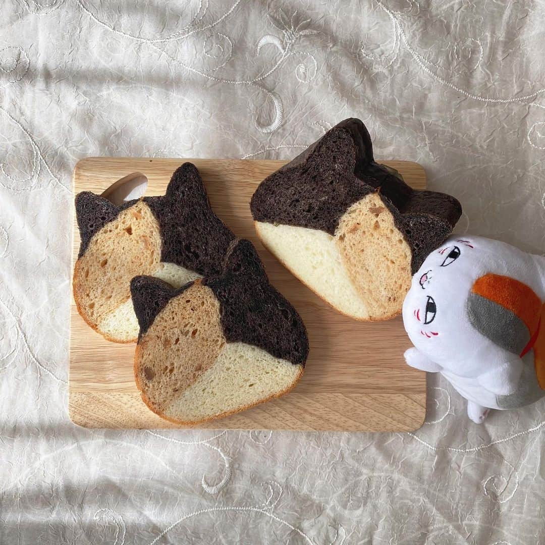 谷口めぐさんのインスタグラム写真 - (谷口めぐInstagram)「一目惚れしてしまった ねこねこ食パン こちらは三毛猫です🐾  写真撮ろうとしたら猫が1匹増えててびっくりしたよニャンコ先生、可愛すぎるじゃないか、食べたいのか？  にしてもニャンコ先生のフォルムはネコ界最高だと思う。まんまる  #ねこねこ食パン #ねこパン #ニャンコ先生 #夏目友人帳」2月27日 22時14分 - o_megu1112