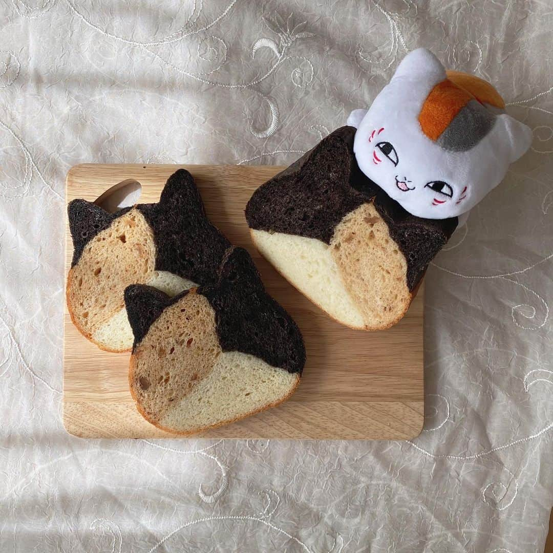 谷口めぐさんのインスタグラム写真 - (谷口めぐInstagram)「一目惚れしてしまった ねこねこ食パン こちらは三毛猫です🐾  写真撮ろうとしたら猫が1匹増えててびっくりしたよニャンコ先生、可愛すぎるじゃないか、食べたいのか？  にしてもニャンコ先生のフォルムはネコ界最高だと思う。まんまる  #ねこねこ食パン #ねこパン #ニャンコ先生 #夏目友人帳」2月27日 22時14分 - o_megu1112