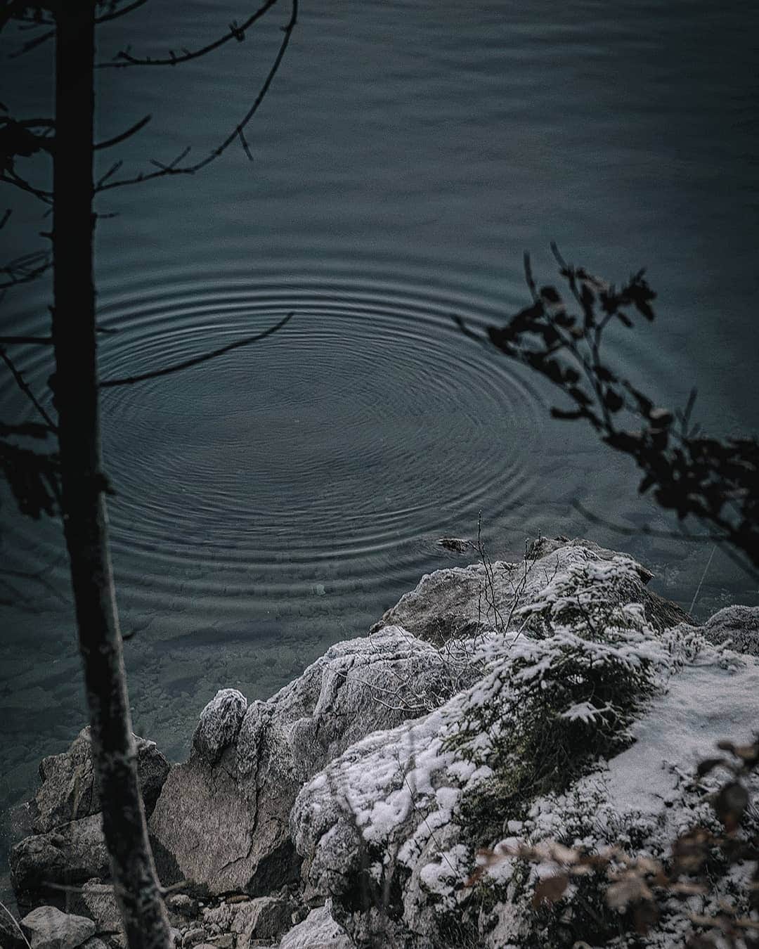 Berlin Tokyoさんのインスタグラム写真 - (Berlin TokyoInstagram)「Calm water of the winter lake brings absolute serenity at dusk. . . . #hellofrom Eibsee, #germany」2月27日 22時18分 - tokio_kid