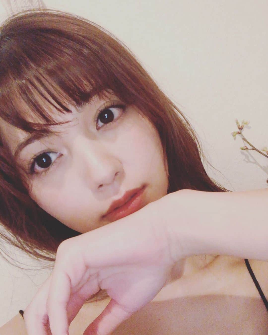 のインスタグラム：「ふわぁ〜 おはようございます。 しばらく冬眠しておりました🧸  うちの近くでは梅の花が咲いています そろそろ桜も咲くのかなぁ🌸  いろんなことが、あともう少し！ そんな気配ですね🌸  それまで もう少しだけ ゆっくりしましょ🧸  #おやすみなさい #明日もゆっくりしてネ #でまた頑張ろうネ #心穏やかキャンペーン中」