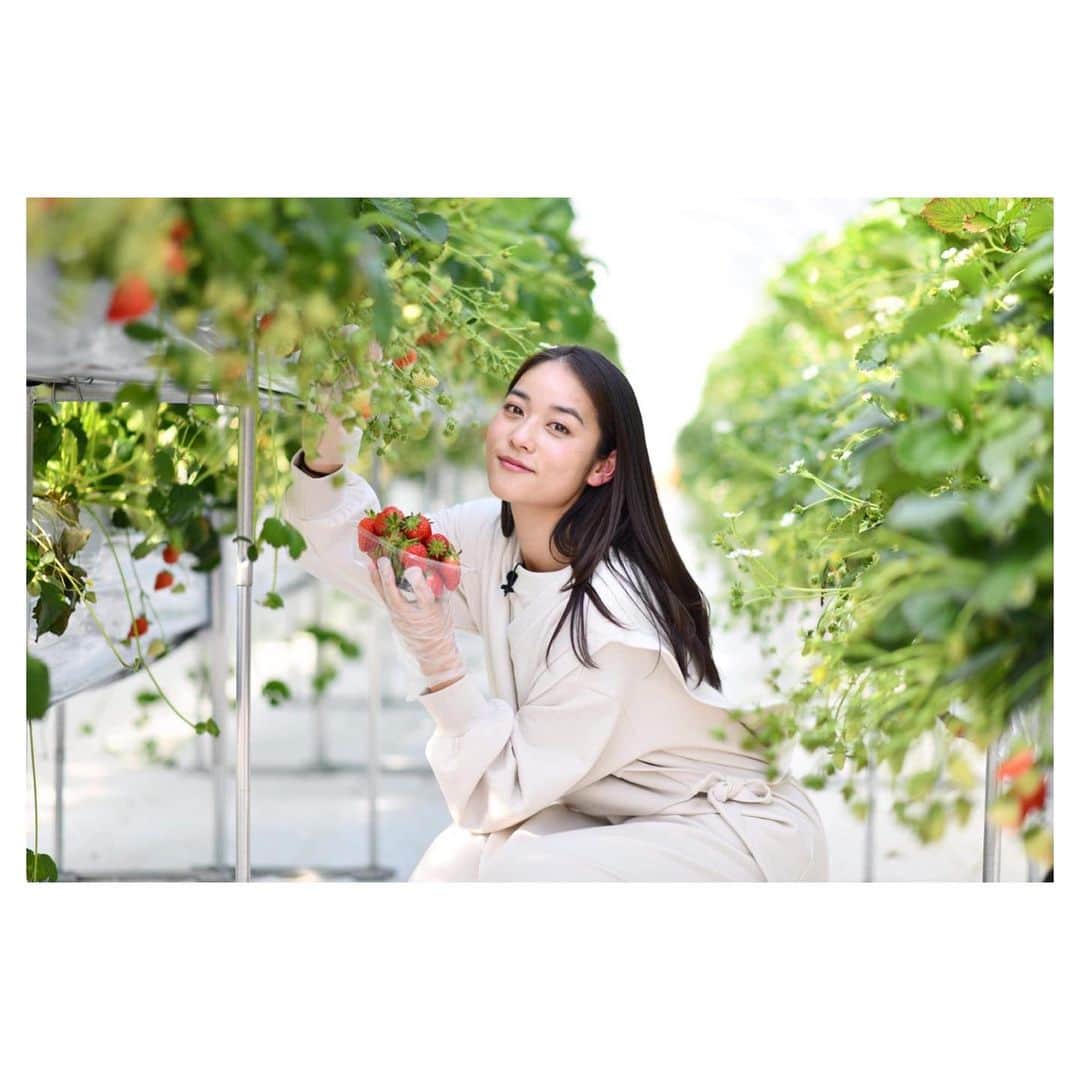 林恵理のインスタグラム
