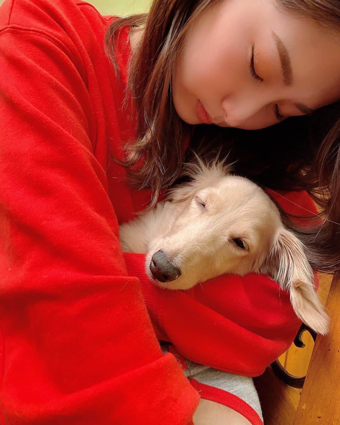 青野美沙稀さんのインスタグラム写真 - (青野美沙稀Instagram)「My love...♡︎♡︎♡︎  #zack #ザック #愛犬 #dog #犬 #dog #sleepydog #おねむ #愛犬家 #犬好き #doglover  #好きすぎる #なんて可愛いの」2月27日 22時31分 - misaki_aono