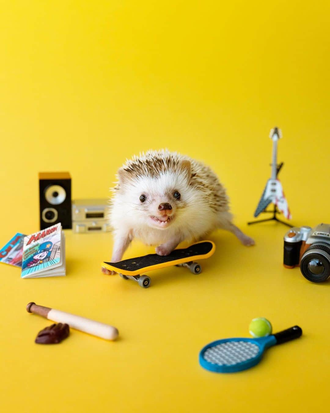 のインスタグラム：「Play together? 🦔🛹📚📷🎸⚾️🎾✨」