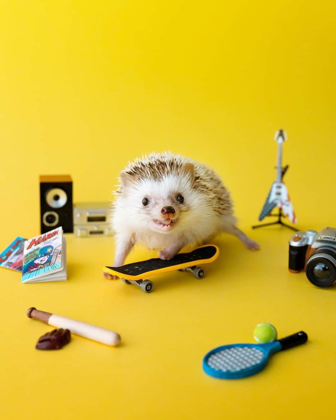 ダーシーのインスタグラム：「Play together? 🦔🛹📚📷🎸⚾️🎾✨」