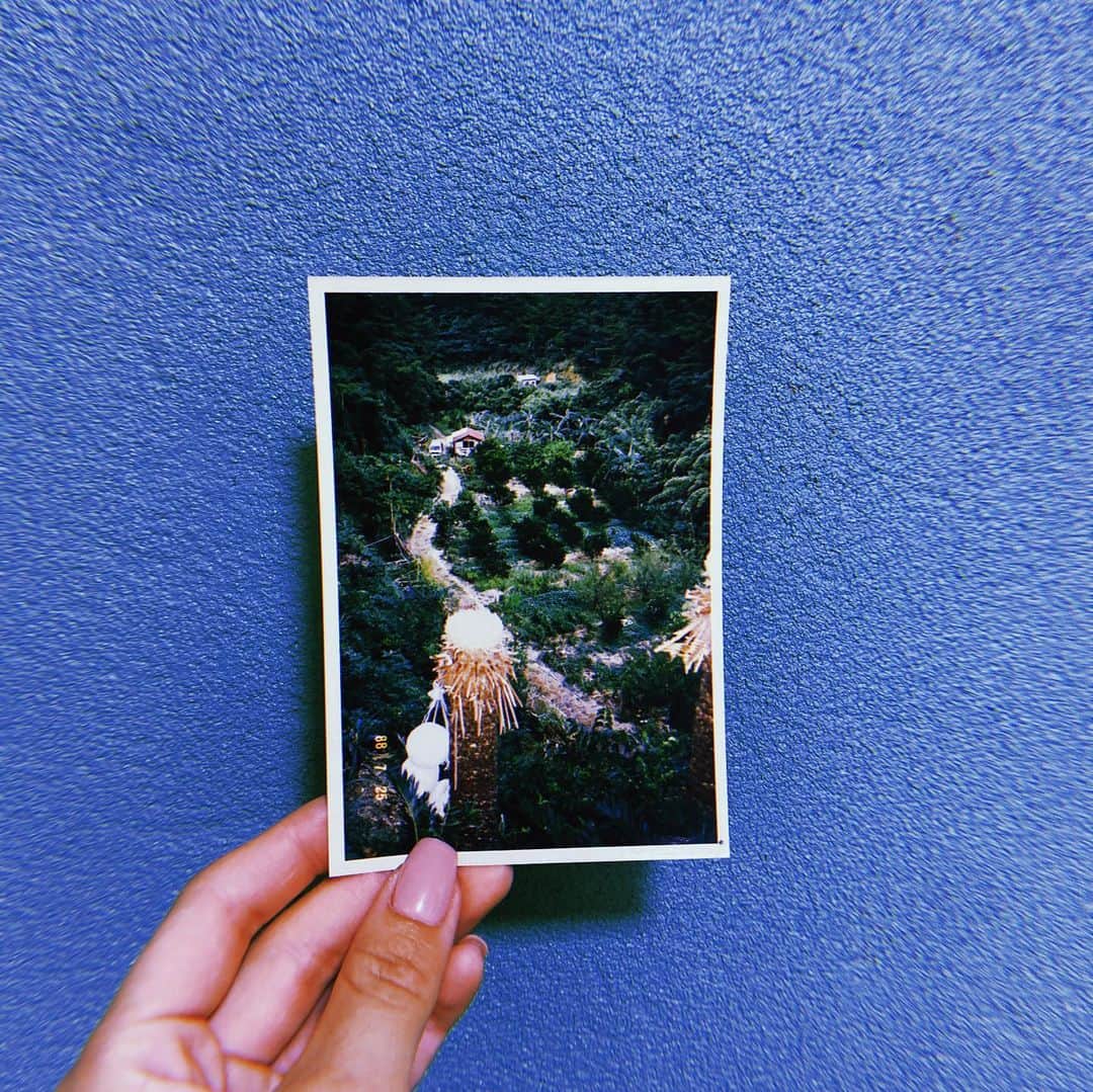 月島桃花さんのインスタグラム写真 - (月島桃花Instagram)「2020.11 鹿児島🌿奄美大島  おじぃちゃんは奄美出身 見せてもらった写真に血が騒いで 引き寄せられて旅へ🌳  マングローブカヤックは鏡の世界🪞🏳️‍🌈  お昼は太陽と自然に恵みをもらって 夜は波と虫の鳴き声と満天の星空に流れ星 人は暖かい人ばかり🌿AMAMI最高」2月27日 22時33分 - momoka_peanuts