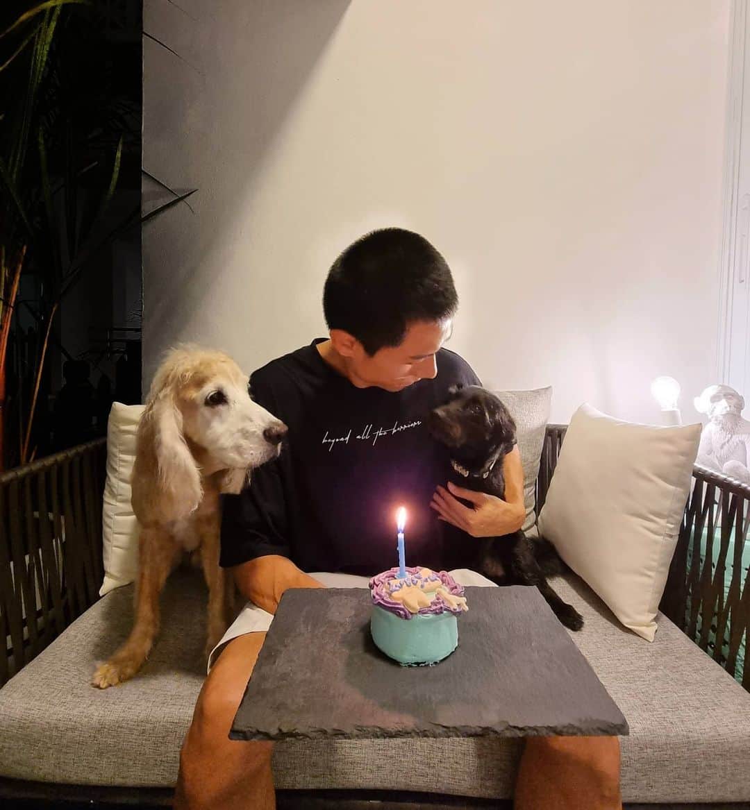 デスモンド・タンのインスタグラム：「Happy 5th birthday, Udon! Stay cute and healthy! 🎂 陈乌东 生日快乐! 你长大了，不可以再欺负你哥哥咯!  #陈乌东 #陈河獅」