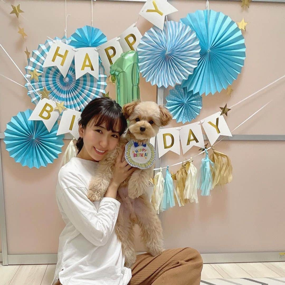 mimiさんのインスタグラム写真 - (mimiInstagram)「べったん happy birthday🎂💓 一才のお誕生日おめでとう🎊 生まれてきてくれてありがとう❤️  べったんと毎日一緒にいれて 本当幸せ🥺💓💓 神様ありがとう♡  べっちゃんをお迎えした後に気づいたのですが 誕生日が私の逆なの❣️ 私　7月22日生まれ ベル　2月27日生まれ  運命だね☺️❤️ ・ #撮影から帰ってきて急いでデコレーション #ケーキの2ショット撮ろうとしたら肉球のところ食べられて断念 #似顔絵ケーキ #愛犬ケーキ #飾り付けはAmazonで購入 #happybirthday #ハピバスタイ #愛犬の誕生日 #一才誕生日 #はじめての誕生日#ベルたんの成長記録 #ベルたん #ベルスタグラム #べるすたぐらむ #ベルたんとの生活 #トイプーとポメラニアンのmix #ハーフ犬 #ポメプー #ポメプー部 #テディベア犬 #いぬすたぐらむ #犬好きな人と繋がりたい #愛犬との暮らし #生後12ヶ月 #ポメプー会 #わんこグッズ #一歳になりました #お誕生日おめでとう」2月27日 22時55分 - chan.mi3