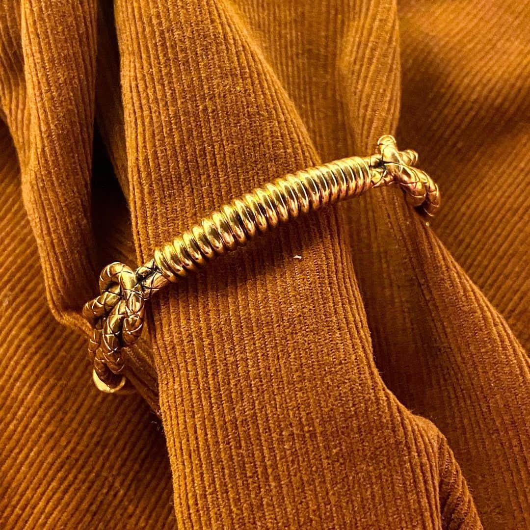 オーレリービダマンのインスタグラム：「Snake on brown velvet 🐍 #tao #aureliebidermann」