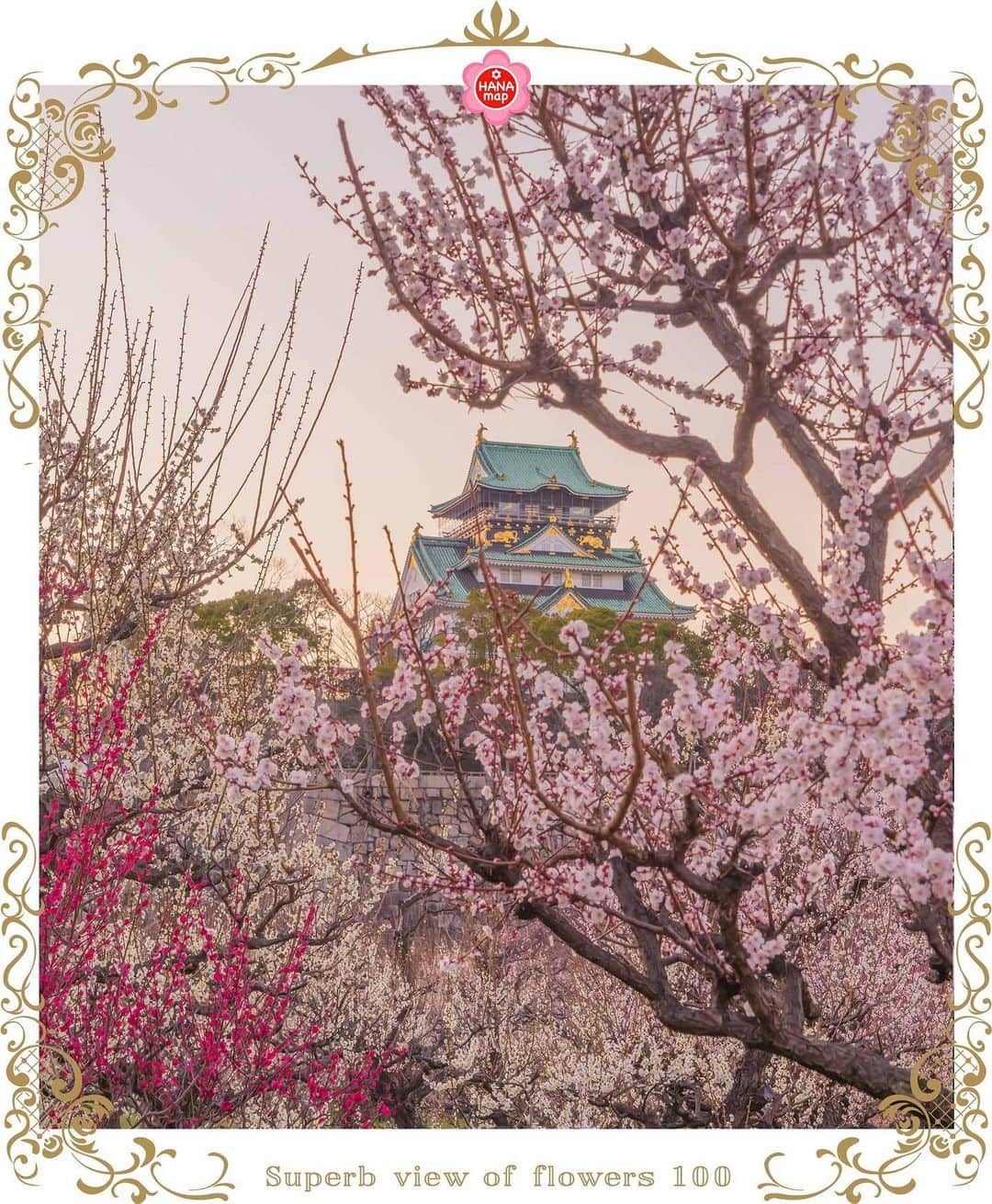 はなまっぷ❁日本の花風景のインスタグラム