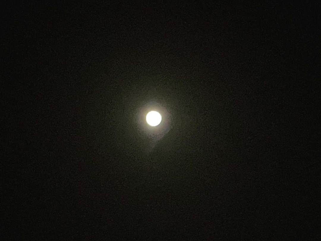 倉田雅世のインスタグラム：「リモート打ち合わせ終了。みなさん、ありがとうございました🌸 満月はてっぺんに。 #スノームーンと言うらしい」
