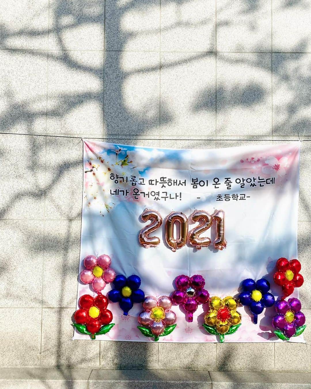 チェ・ジャヘのインスタグラム：「. 입학식 포토존 사전방문촬영 코로나가 준 입학식 풍경💐 첫찌 때는 입학식날 폭죽 터트리고 온 식구 출동해서 응원해줬는데..  썰렁한 학교에 사진만 찍고 오는길  또 한번 코로나가 원망스럽네😤 그래도 눈치 안보고 각도 옮겨가며 원없이 사진찍을수 있어서 좋았다라고 위로해 본다 #두찌입학 #이제둘다초딩」