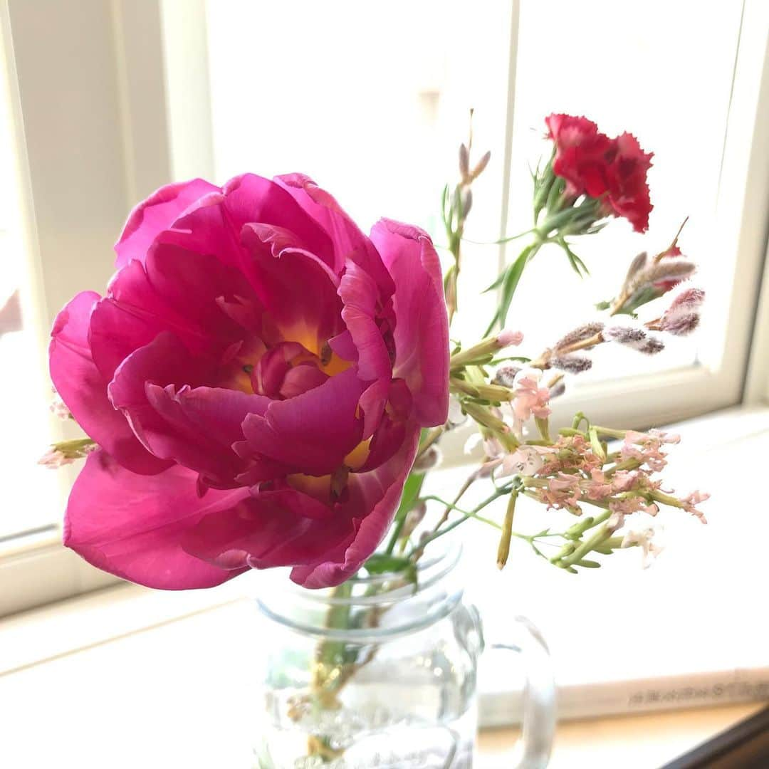 桂さんのインスタグラム写真 - (桂Instagram)「Bouquet  #bouquet #flower #flowers #tulip #doublefloweredtulip #dianthus #primrose #osier #book #花束 #ブーケ #花 #チューリップ #八重咲きチューリップ #ナデシコ #サクラソウ #行李柳 #本」2月27日 23時09分 - astrology_tarot