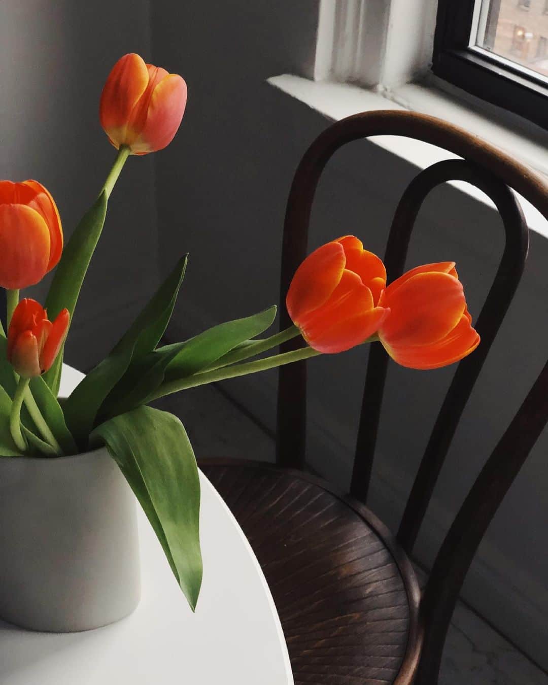 アリス・ガオのインスタグラム：「from many apartments ago 🌷😌」