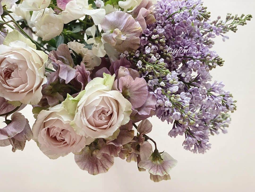 Yuka Kaedeさんのインスタグラム写真 - (Yuka KaedeInstagram)「Asyuka Jewelryコーデ . . 今回のお花は…♪ アンティークカラーのスイトピーやパンジーを入れて パステルパープルピンクにまとめました。  パンジーやビオラは品種改良で八重咲きやフリル花弁 の種類が豊富になってきてます。 パンジーピオラは鉢植えが一般的なので 今回の切り花のパンジーはなんか贅沢でした…♡(^^)  フリル具合がスイトピーと合うし、 パンジーのフリルはとにかく可愛いいです♪♪♪ . . . . . @liakulea_japan LIAKULEAの腕時計LKBK GRAYと、 @dsyukajewelry パラダイスシャインシリーズを合わせて♪ . @liakulea_japan 10%OFFクーポンコード「asyukbi17」 ※本日より1年間有効 . #腕時計 #liakulea #時計 #腕時計倶楽部 #手元倶楽部#リアクレア #_asyuka_#asyukajewelry#swarovski」2月27日 23時32分 - _asyuka_
