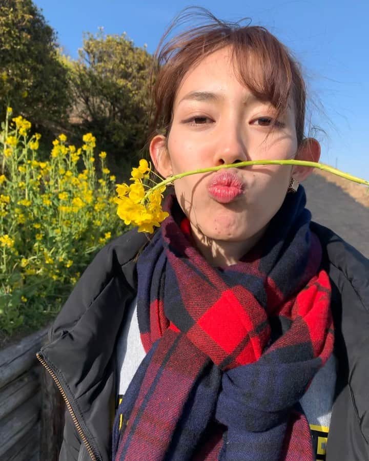 のインスタグラム：「撮影してもらって来ました😁✌️﻿ 風が強すぎたけど、お天気も良くて綺麗な光でした☺️﻿ ﻿ 菜の花満開で綺麗だったよ〜〜🏵🏵﻿ ﻿ ﻿ ﻿ #撮影 #ムービー #オフショット #菜の花 #春 #モデル #伊藤由佳 #由佳散歩」