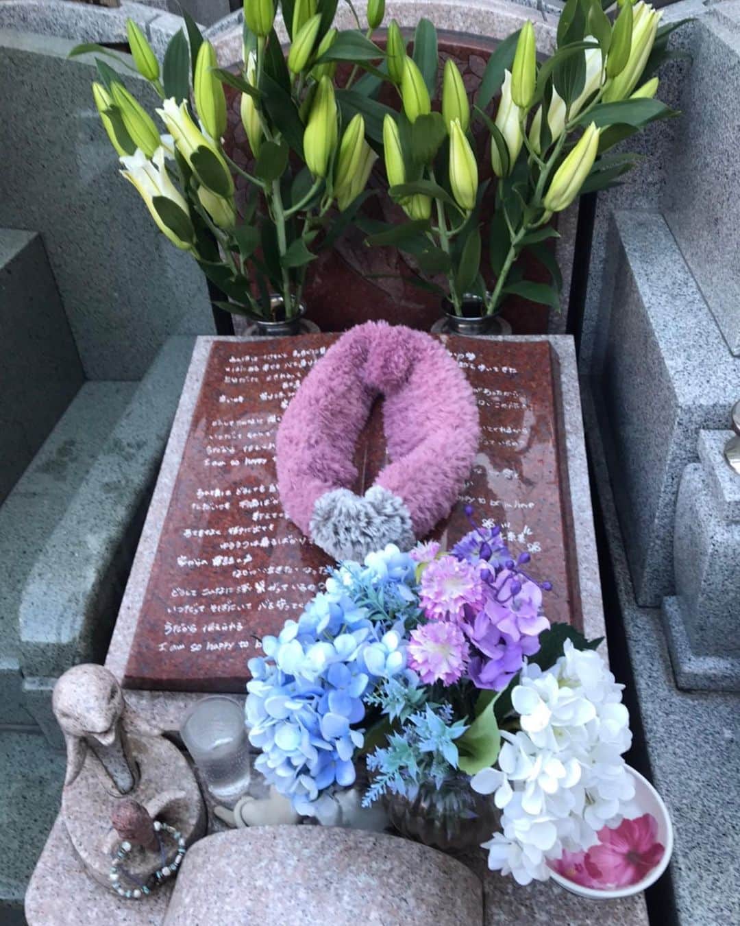キャシー中島さんのインスタグラム写真 - (キャシー中島Instagram)「*  今日は7がつく日なので七奈美のところに来ました。 まだ寒いのでマフラーはそのままにしておきます。 暖かくなったら春の花を持ってくるからね！ 七奈美の好きな花は芍薬とローズジュリア❣️ もうちょっと待っててね。  *  50年来の友人がバースデーランチをしてくれました。 サリーとジュンコとキャシーの3人組です。 まずは乾杯🥂素晴らしいカラーリリーの花をもらいました。  スペシャルアペリティフとまぐろのからすみのパスタ🍝ウニまで乗ってます。絶品よ、美味しい❣️ メインはタリアータ(写真を撮るのを忘れちゃうぐらい美味しかったわ)  オーナーシェフのニーノさん！ ありがとう最高に美味しいランチでした。 そして16歳の時からの友情を繋げてくれている2人に心から感謝です。 途中会えない時期もあったのに・・・本当にありがとう❤️❤️❤️」2月28日 0時51分 - official_kathynakajima