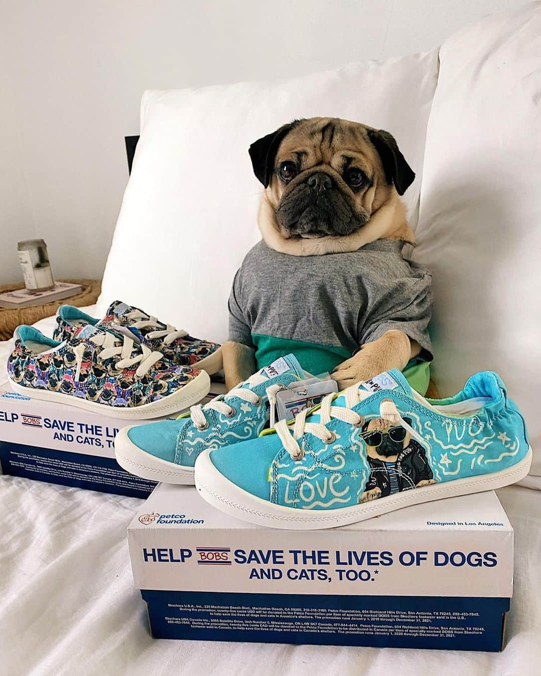 itsdougthepugさんのインスタグラム写真 - (itsdougthepugInstagram)「GIVEAWAY!! Did you know PUG = Pretty Unreal Giveaway!? Treat your paws to a pair of my comfy new shoes! Enter below and follow the steps to WIN one of two $75 ​Skechers gift cards! 💙🐶🐾👟  1) Follow @skechers + @dougthepugfoundation  2) Comment: PUG 3) Tag as many people as you want in separate comments - each comment is a new entry! 4) Like this post!   Eligible for entry from February 27 @ 10:00am CST to March 1 @ 10:00am CST. Official rules at link in @skechers bio. No purchase necessary. Odds of winning depend on number of eligible entries submitted. Gift card value is $75. Sponsored by Skechers U.S.A., Inc. #GIVEAWAY #free #contest #mood #Skechers #giftcard #comfort #style #dougthepug」2月28日 1時03分 - itsdougthepug