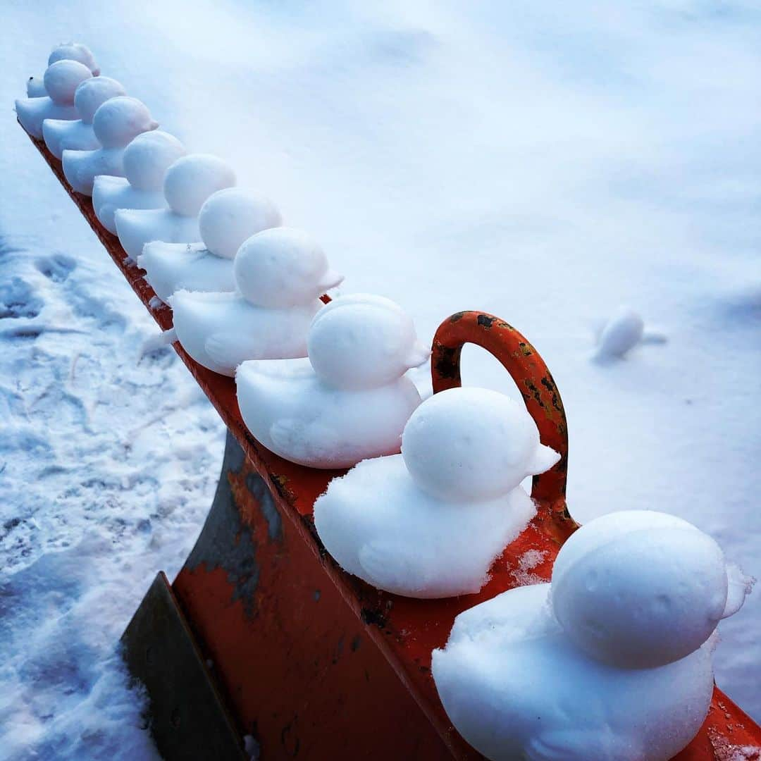 かねさだ雪緒さんのインスタグラム写真 - (かねさだ雪緒Instagram)「雪あひるちゃん☃️ 沢山作った😆！！！」2月28日 1時24分 - yukiokanesada