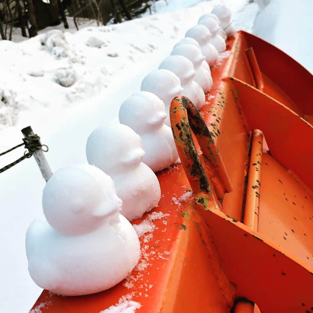 かねさだ雪緒さんのインスタグラム写真 - (かねさだ雪緒Instagram)「雪あひるちゃん☃️ 沢山作った😆！！！」2月28日 1時24分 - yukiokanesada